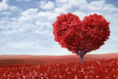 red_love_heart_tree-1920x1080