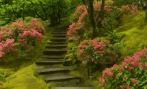NATURA