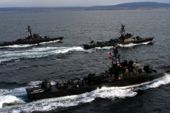 Navy-29
