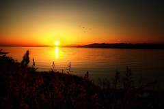 beach-sea-sunset-7