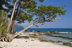 beach-sea-3