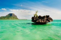 beach-sea-65