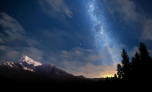 STELLE